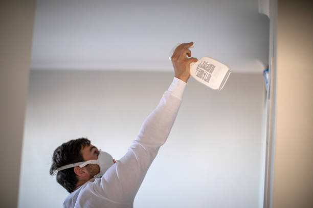 Best Emergency Mold Removal  in Wharton, TX