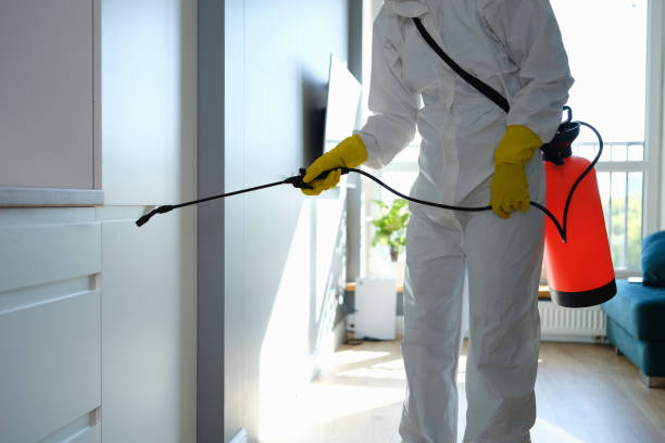 Reliable Wharton, TX Mold Removal Solutions